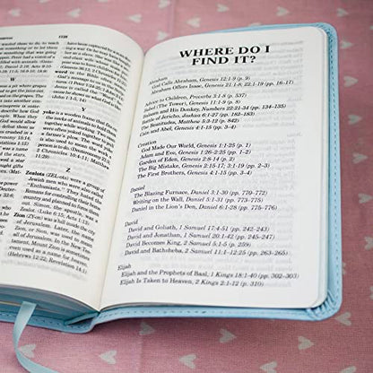 ICB, Really Woolly Holy Bible for Toddlers, Pink Leathersoft: International Children's Bible – Helping Little Hearts Grow in God's Love