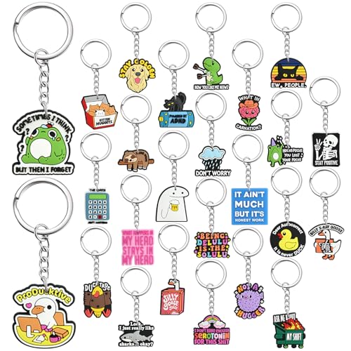 Cute Keychain Bulk,Cute Key Chain for Car Keys Purse Bag Rewards - color: Sfunny-25