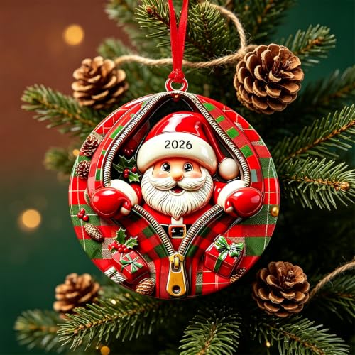 Santa Ornaments for Christmas Tree, 2026 Christmas Ornaments,3D Santa Claus - color: Santa