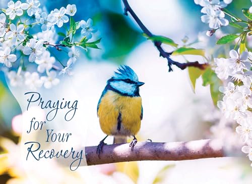Thoughts & Prayers Cards KJV, 12 Count