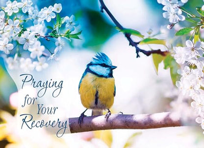 Thoughts & Prayers Cards KJV, 12 Count