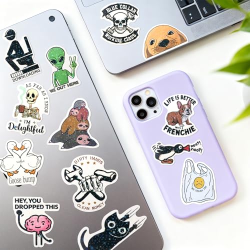 ELZO 300 Pcs Holographic Funny Stickers for Adults Pack - Sarcastic, Waterproof Vinyl Stickers for Water Bottle, Laptop, Phone, Journal, No Repeats - color: Sarcastic & Funny