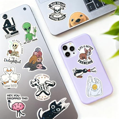 ELZO 300 Pcs Holographic Funny Stickers for Adults Pack - Sarcastic, Waterproof Vinyl Stickers for Water Bottle, Laptop, Phone, Journal, No Repeats - color: Sarcastic & Funny