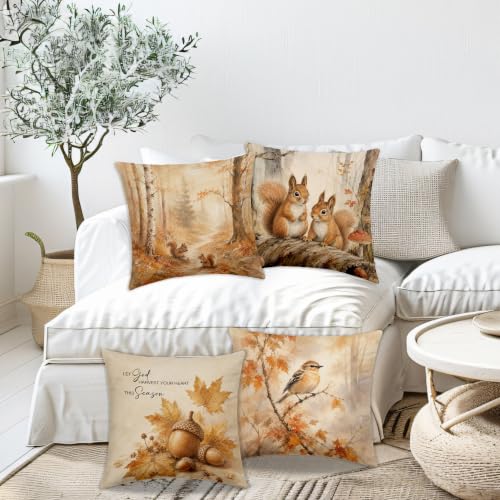 Dibor Fall Bird Squirrel Christian Throw Pillow Covers 18x18 Set of 4 - color: Fall2