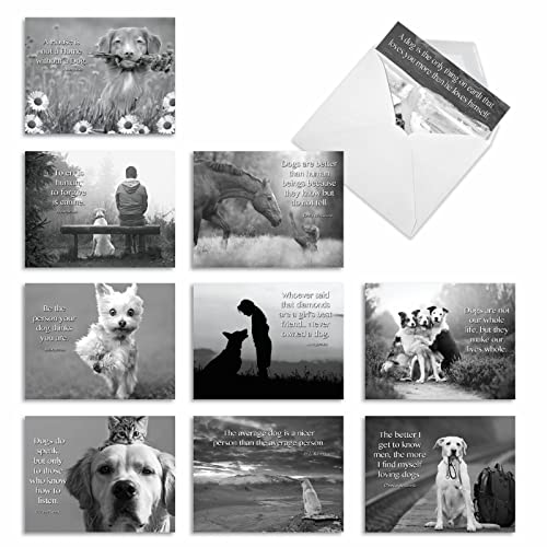 The Best Card Company - 10 Assorted Blank All Occasions Notecards Boxed Set 4 x 5.12 Inch w/Envelopes Dogs Inspirational Quote, Men, Women (10 Designs, 1 Each) - Canine Comments M1623BN-NB - style: Canine Comments