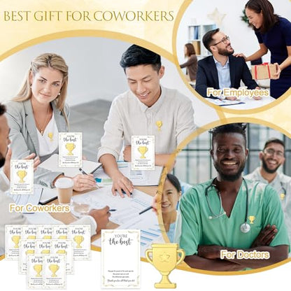 60 Sets Employee Appreciation Gifts Bulk, Trophy Pins,Star - style: Star