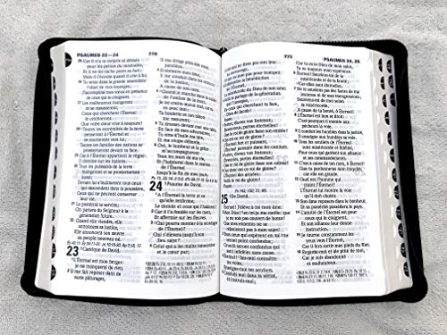 French Bible, Large Print, Leather, Zipper, Thumb Index. Segond 1910, fermeture éclair