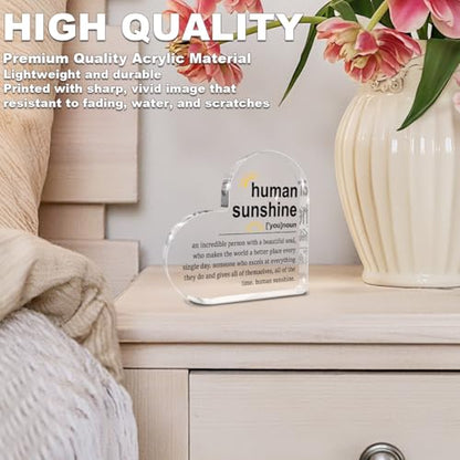 Human Sunshine Motivational Gift for Women Men, Employee Appreciation - color: Human Sunshine