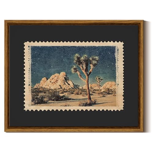 InSimSea Framed Canvas Wall Art, Western Desert Cactus, 10x8 Inch - color: Mail in the Wilderness