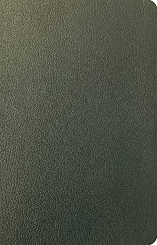 NLT Personal Size Giant Print Bible, Filament Enabled (Genuine Leather, Olive Green, Indexed, Red Letter)