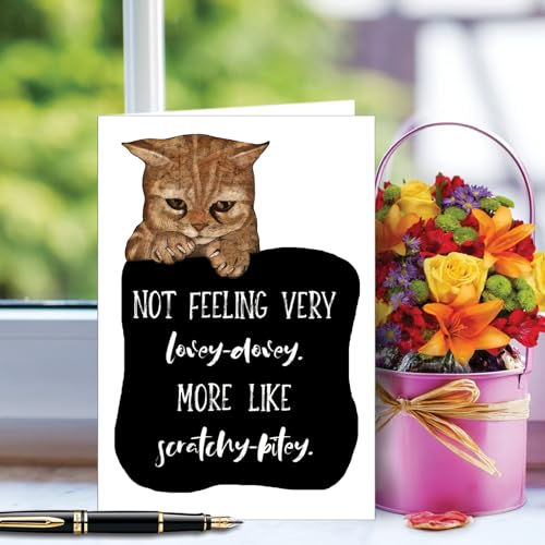 NobleWorks, Get Well Greeting Card with 5 x 7 Inch Envelope (1 Card) Cat Antics - Scratchy Bitey C3638FGWG - style: Cat Antics - Scratchy Bitey