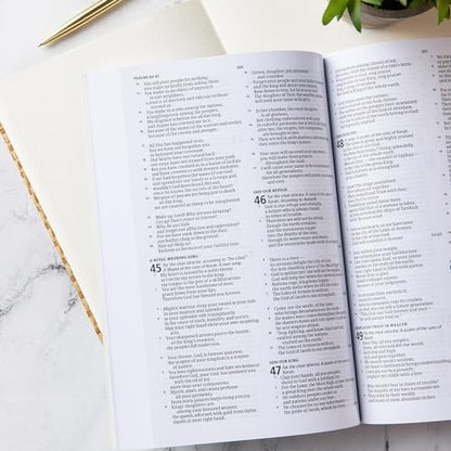 CSB Outreach Bible for Kids, Trade Paper, Black Letter, Presentation Page, Kid-friendly Gospel Presentation, Easy-to-Read Bible Serif Type