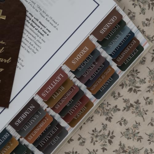 UPAFEXXI-Laminated Bible Tabs with Book Summaries, Bible Study Supplies - color: Summaries Boho3