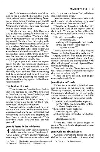 NIV, Outreach New Testament, Large Print, Paperback