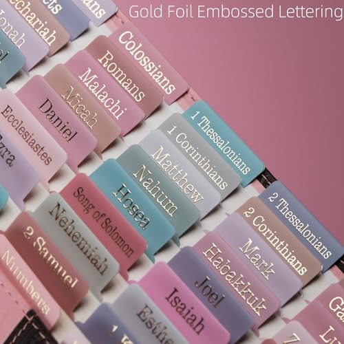 UPAFEXXI-Laminated Bible Tabs with Book Summaries - color: Summaries Morandi