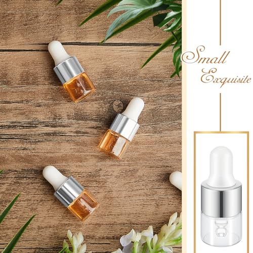 Didaey 100 Pcs Mini Glass Oil Dropper Bottle, 1 ml, Classic Silver - color: Classic Silver, size: 1 ml