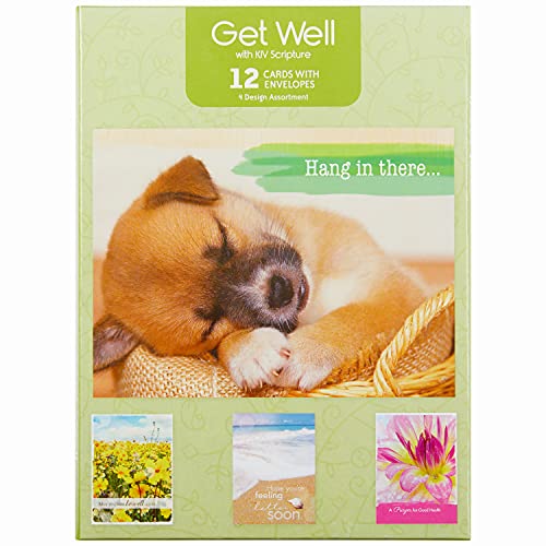 Paper Craft IG98642-RE Religious Get Well Soon Card Set with Envelopes, 12 Cards, 4.75'' W x 6.5'' H, Puppy, Floral, and Landscape Photography