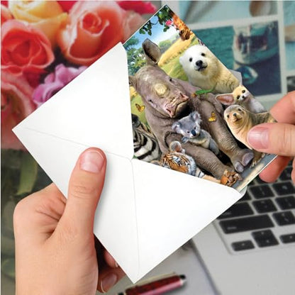 NobleWorks - Funny Get Well Greeting Card - Hilarious Feel Better Notecard with Envelope - Here's Looking At Zoo C6639AGWG-US - style: Here's Looking At Zoo