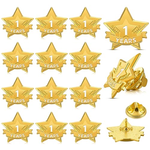 Tigeen 12 Pcs Year Service Reward Pins Star Enamel Pins, 1 Year - style: 1 Year