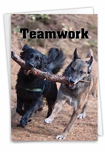 Best Card Co 1 Teamwork Thank You Greeting Card Colorful Dog C3189FTYG - style: Teamwork