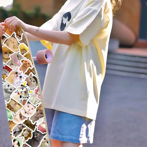 DothRayan Cat Stickers, 100 Pcs Fun Cat Waterproof Stickers, Vinyl Stickers for Water Bottle, Laptop, Phone Stickers for Kids Teens Girls Adults - color: Cat B