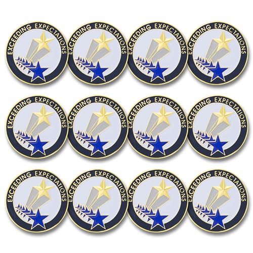SHOP AWARDS AND GIFTS Service Recognition Lapel Pins - style: Exceeding Expectations (Pack of 12)