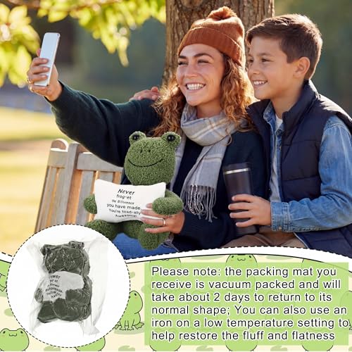 Hollowfly 10 Inch Emotional Frog Stuff Active Support Gifts, Thank You Gifts for Teacher Nurse Coworker Women Men Kids, Cute Plush Frog Holding Pillow Gift Graduation Teacher's Day Retirement Farewell - size: 9.84 Inch, style: Frog