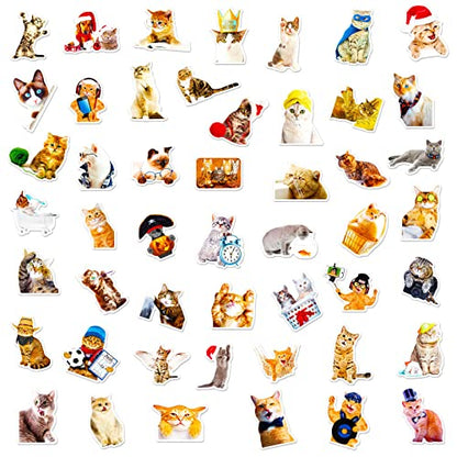 Cat Stickers for Kids Teens Girls Adults, 100 Pcs Cute Cat Stickers, Vinyl Waterproof Animal Sticker for Water Bottle, Laptop, Luggage, Phone, Skateboard - color: Cat
