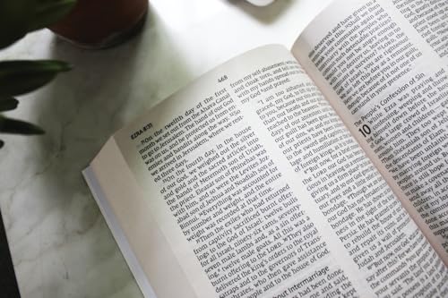 NIV, Holy Bible, Larger Print, Economy Edition, Paperback, Teal/Tan, Comfort Print