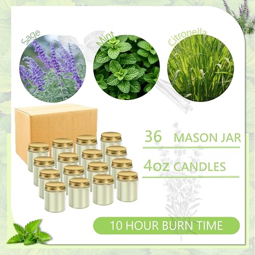 ACITHGL 36 Pcs 4oz Mini Mason Jar Candles Small Scented Candles Bulk Aromatherapy Ideal Souvenir Favors for Wedding Birthday Party (Sage, Mint, Citronella, Gold) - color: Gold, style: Sage, Mint, Citronella