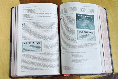 NIV, Revolution Bible, Leathersoft, Gray/Navy: The Bible for Teen Guys