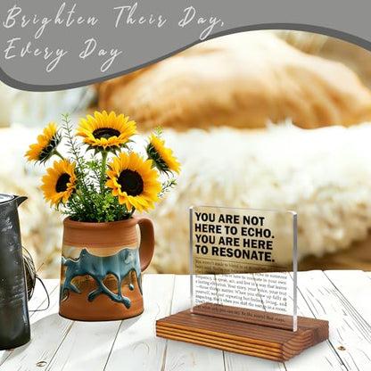 Inspirational Office Desk Sign for Coworker Employee Friend, You Are Here to Resonate Motivational Acrylic Plaque, Positive Mindset Decor Gift for Women Men EC421 - style: Coworker Employee Friend