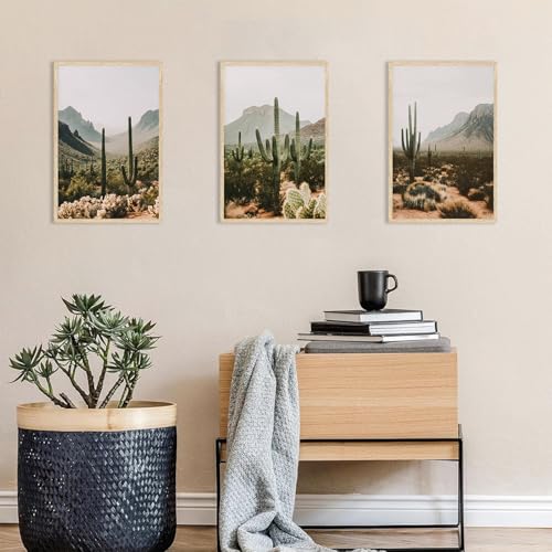 YUFEIART 3 Piece Green Sonoran Cactus Framed Wall Art Set of 3 12x16 - color: Green Cactus, size: 12x16 Framed