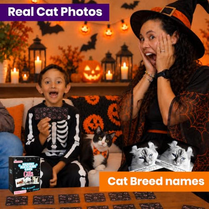 Menique Cat Memory Game – 70 Cards with Real Photos of 35 Cat Breeds – Bilingual Matching Card Game with Fact Booklet – Great Boo Basket Stuffer & Halloween Favor - style: Cats