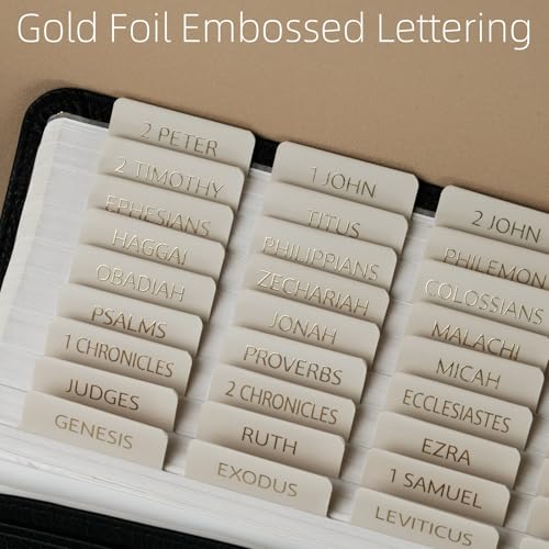 UPAFEXXI-Bible Tabs with Book Summaries, 3D Gold Foil Embossed Lettering - color: Summaries Gray