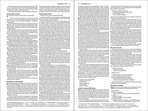 NIV, Economy Bible, Paperback: Affordable for Outreach, Church Ministry, and Bulk Distribution