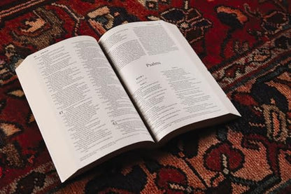 NIV, Bread of Life Outreach Bible, Paperback