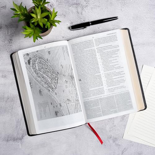 CSB Everyday Study Bible, Black Bonded Leather, Black Letter, Study Notes and Commentary, Illustrations, Articles, Charts, Easy-to-Carry, Easy-to-Read Bible Serif Type