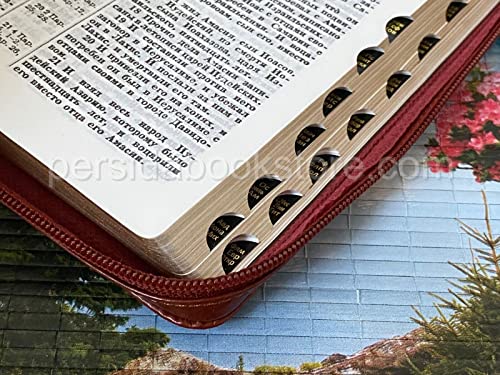 Russian Bible, Imitation Leather Zipper, Compact, Synodal