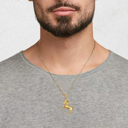 Zodiac Astrology Character Symbol Pendant 14k Gold Parent - color: Yellow 14k Gold, size: With 18" Chain, style: Pisces