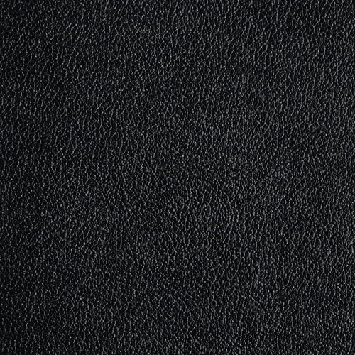 NASB Study Bible, Black Genuine Leather, Indexed, Full-Color, Red Letter, Study Notes and Commentary, Illustrations, Book Introductions, Articles, Word Studies, Outlines, Timelines, Maps