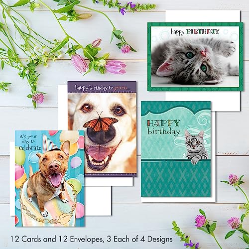 Faithfully Yours Designer Greetings Cute Birthday Boxed Card 12 Pack