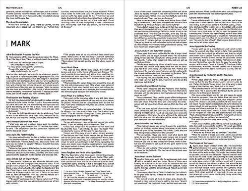New International Version, Holy Bible, Hope for Every Day