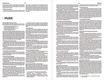 New International Version, Holy Bible, Hope for Every Day