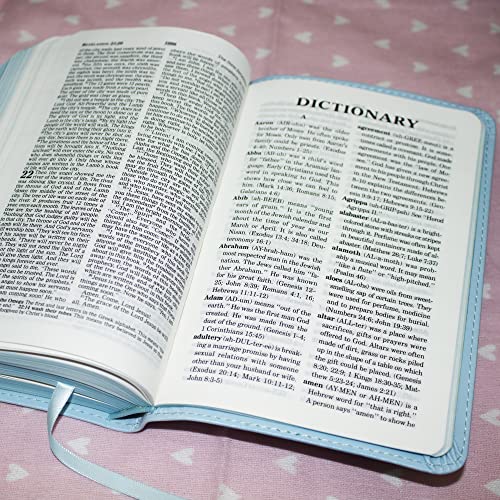 ICB, Really Woolly Holy Bible for Toddlers, Pink Leathersoft: International Children's Bible – Helping Little Hearts Grow in God's Love