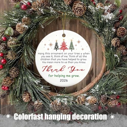 Christmas Ornaments 2026 - Thank You Gifts - Appreciation, Boss Day Ideas for Women, Men, Coworkers, Bosses, Teachers - Retirement, Farewell, Going Away - color: Thank You05