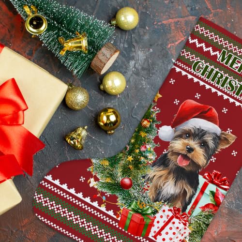 Yorkshire Terrier Red and Green Christmas Stockings 16 Inch - color: Christmas22
