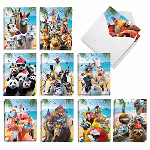 Best Card Co 20 Assorted Birthday Notes Wildlife AM10209BDG-B2x10 - style: Wildlife Photo Ops