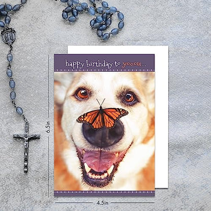 Faithfully Yours Designer Greetings Cute Birthday Boxed Card 12 Pack
