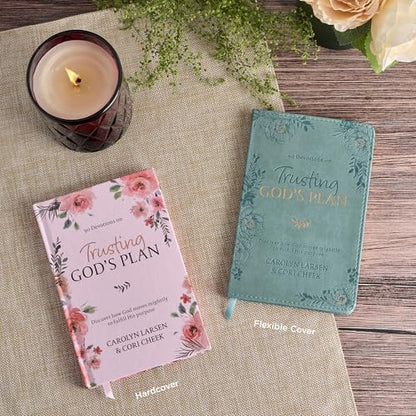 Trusting God's Plan 90 Day Devotional